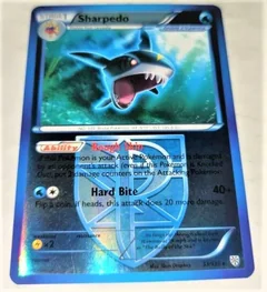 Sharpedo Reverse Holo 33