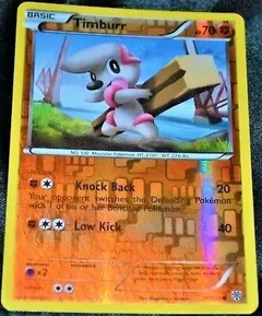 Timburr Reverse Holo 79