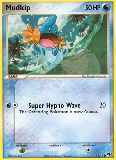 Mudkip 11