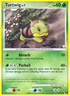 Turtwig 17