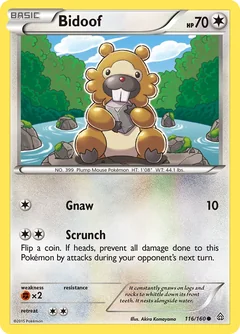 Bidoof 116