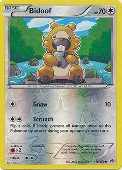 Bidoof Reverse Holo 116