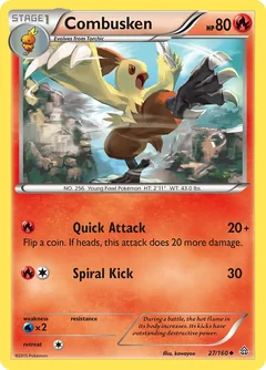 Combusken Reverse Holo 27