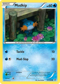 Mudkip 33