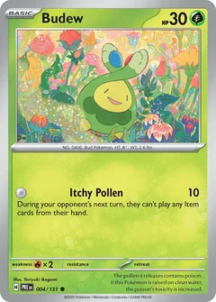 Budew Prize Pack 4