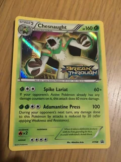 Chestnaught Xy68