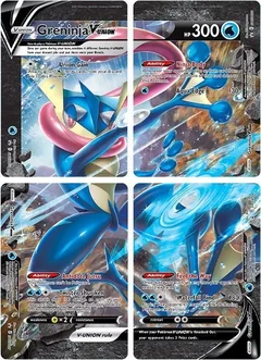 Greninja V Union Set