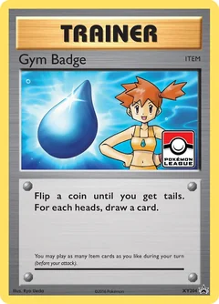 Gym Badge Xy204