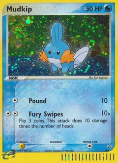 Mudkip 005