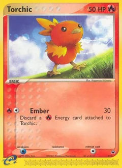Torchic 17