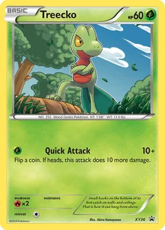 Treecko Xy36