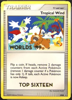 Tropical Wind Top Sixteen Dp48