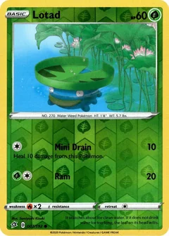 Lotad Reverse Holo 7