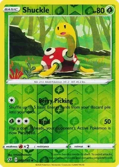 Shuckle Reverse Holo 5