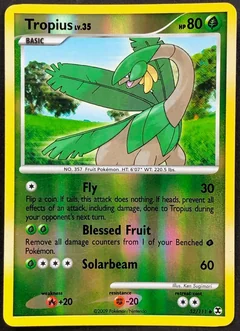 Tropius Reverse Holo 52
