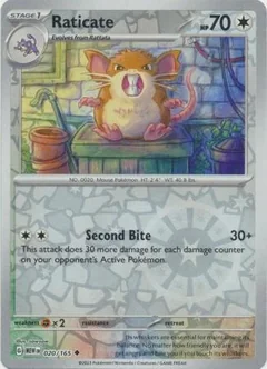 Raticate Reverse Holo 20