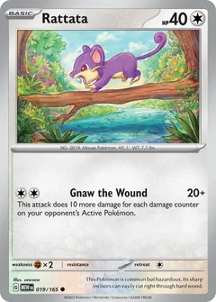 Rattata 19