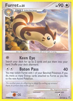 Furret 27