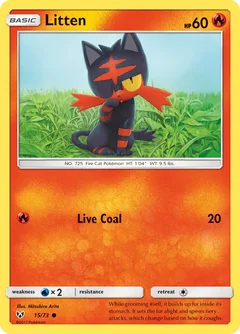 Litten 15