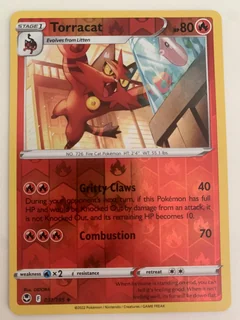 Torracat Reverse Holo 31