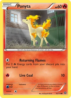 Ponyta 16