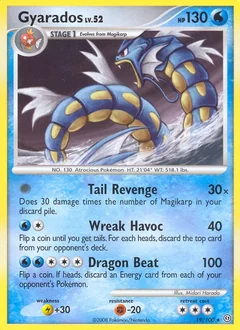Gyarados 19