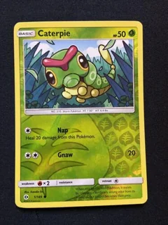 Caterpie Reverse Holo 1