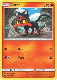 Litten 24