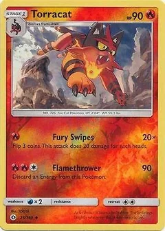 Torracat Reverse Holo 25