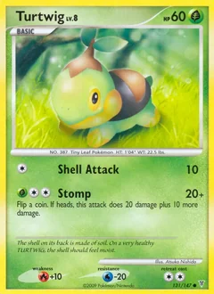 Turtwig 131