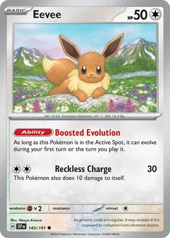 Eevee Prize Pack 143
