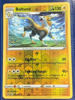 Boltund Reverse Holo 75