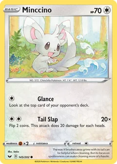 Minccino 145