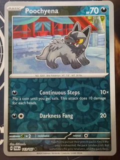 Poochyena Reverse Holo 113