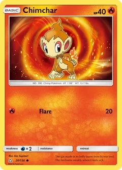 Chimchar 20