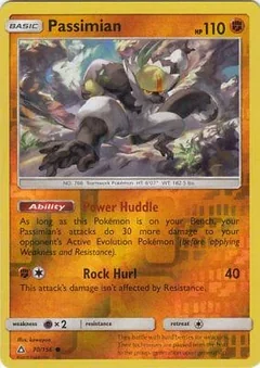 Passimian Reverse Holo 70