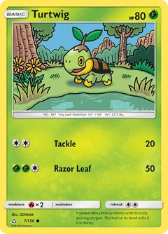 Turtwig 7