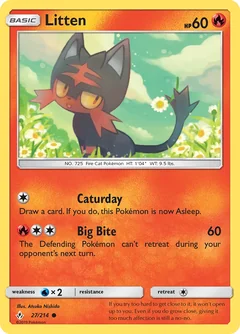Litten 27