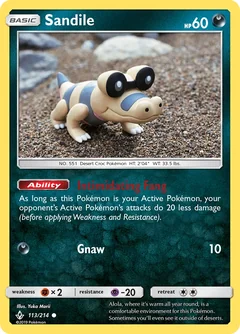 Sandile 113