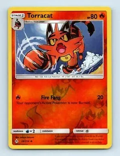 Torracat Reverse Holo 28