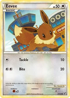 Eevee 47