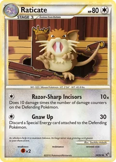 Raticate 34