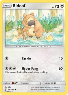 Bidoof 171