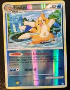 Floatzel Reverse Holo 16