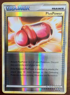 Pluspower Reverse Holo 80