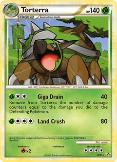 Torterra 10
