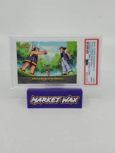 Challenge Of The Samurai