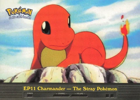 Charmander The Stray Pokemon