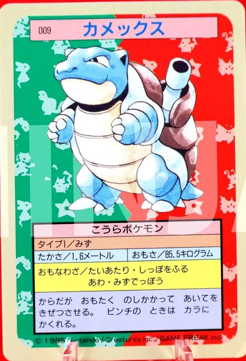 Blastoise Blue Back