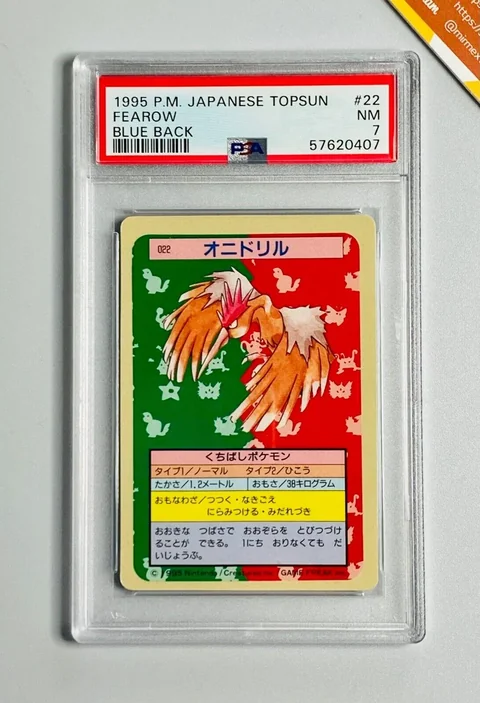 Fearow Blue Back